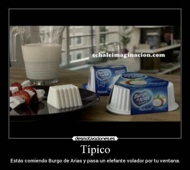 Típico - Estás comiendo Burgo de Arias y pasa un elefante volador por tu ventana.