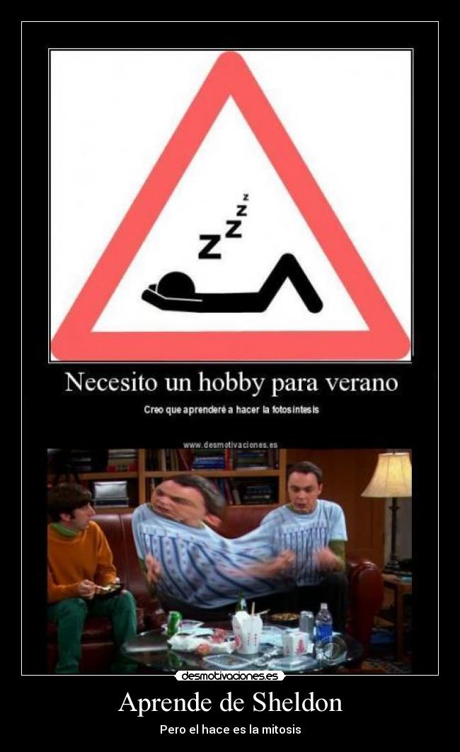Aprende de Sheldon - Pero el hace es la mitosis