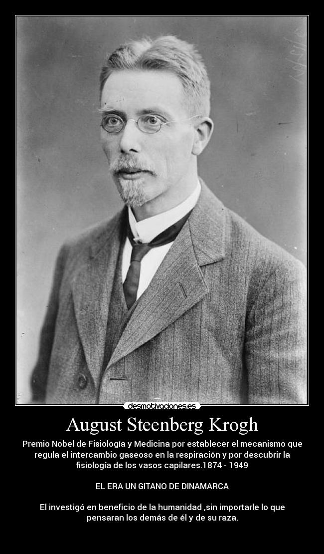 carteles gitanos gitana gitano holocausto nazis ninos fisicos asesinosnobel desmotivaciones