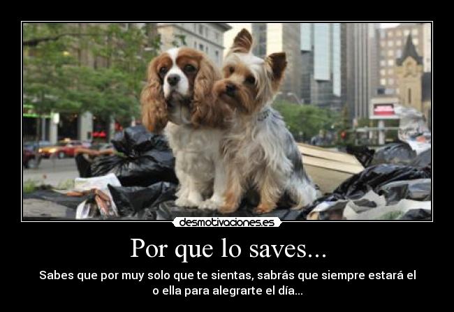 Por que lo saves... -