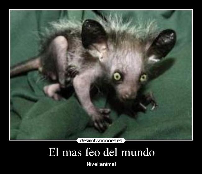 El mas feo del mundo - Nivel:animal