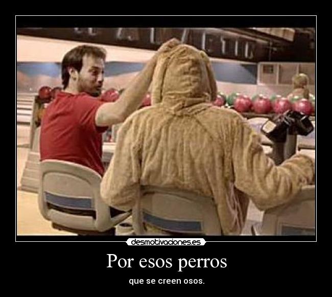 Por esos perros - que se creen osos.