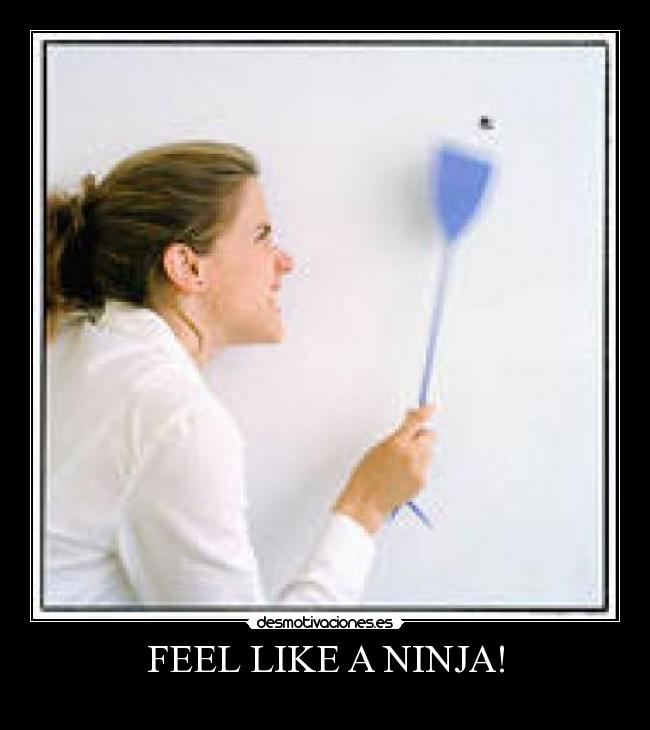 FEEL LIKE A NINJA! - 