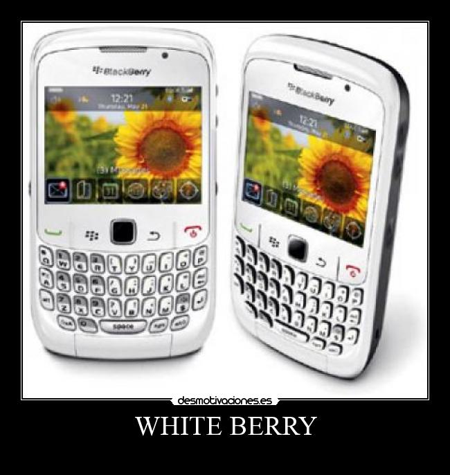 WHITE BERRY -