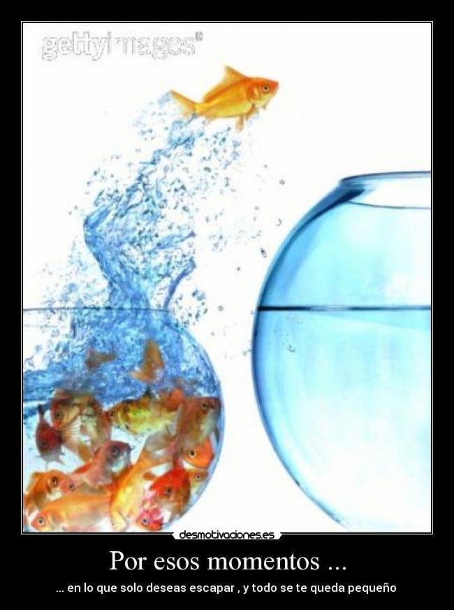 Por esos momentos ... - 
