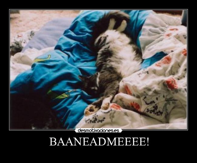 BAANEADMEEEE! -