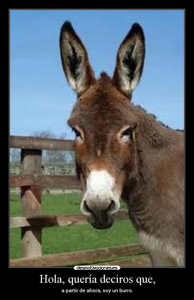 Hola, quería deciros que, - 