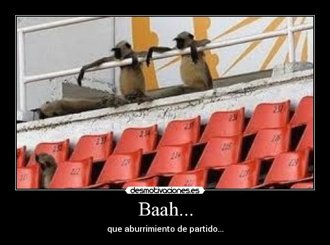Baah... - que aburrimiento de partido...