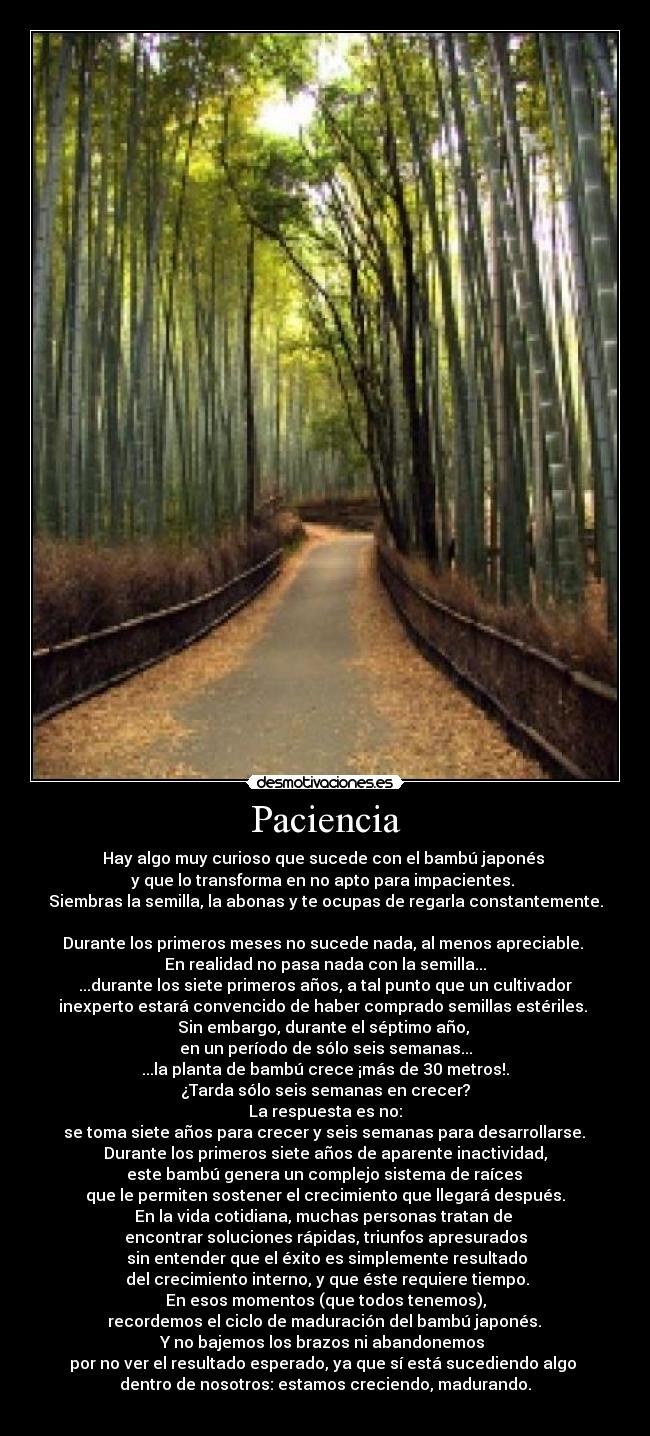 Paciencia - Hay algo muy curioso que sucede con el bambú japonés
y que lo transforma en no apto para impacientes.
Siembras la semilla, la abonas y te ocupas de regarla constantemente.
Durante los primeros meses no sucede nada, al menos apreciable.
En realidad no pasa nada con la semilla...
...durante los siete primeros años, a tal punto que un cultivador
inexperto estará convencido de haber comprado semillas estériles.
Sin embargo, durante el séptimo año,
en un período de sólo seis semanas...
...la planta de bambú crece ¡más de 30 metros!.
¿Tarda sólo seis semanas en crecer?
La respuesta es no:
se toma siete años para crecer y seis semanas para desarrollarse.
Durante los primeros siete años de aparente inactividad,
este bambú genera un complejo sistema de raíces
que le permiten sostener el crecimiento que llegará después.
En la vida cotidiana, muchas personas tratan de
encontrar soluciones rápidas, triunfos apresurados
sin entender que el éxito es simplemente resultado
del crecimiento interno, y que éste requiere tiempo.
En esos momentos (que todos tenemos),
recordemos el ciclo de maduración del bambú japonés.
Y no bajemos los brazos ni abandonemos
por no ver el resultado esperado, ya que sí está sucediendo algo
dentro de nosotros: estamos creciendo, madurando.