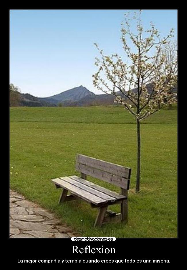 Reflexion - La mejor compañia y terapia cuando crees que todo es una miseria.