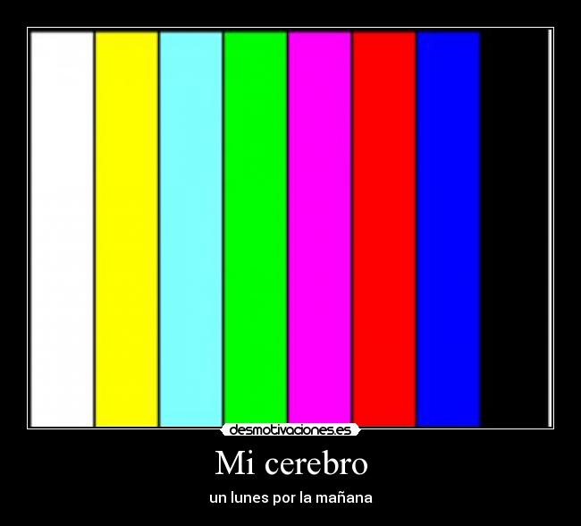 Mi cerebro - 