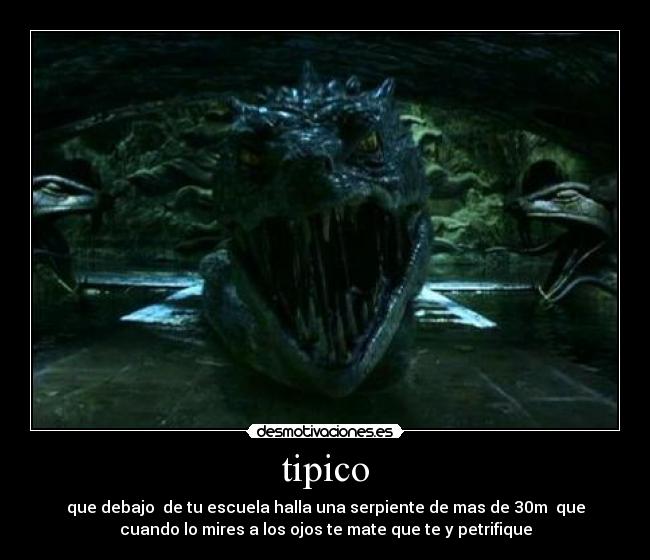 tipico - que debajo de tu escuela halla una serpiente de mas de 30m que
cuando lo mires a los ojos te mate que te y petrifique