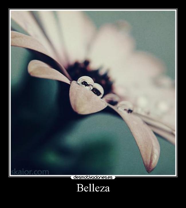 Belleza -