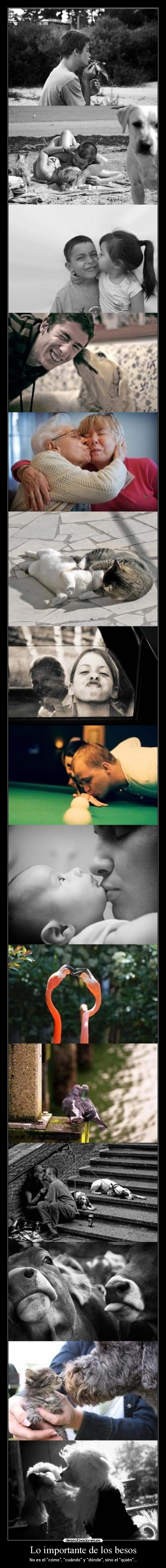 Lo importante de los besos -