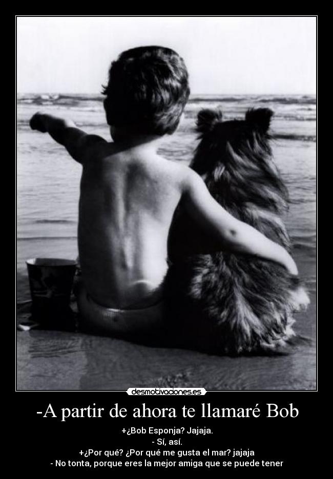 -A partir de ahora te llamaré Bob - 