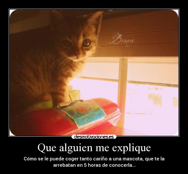 Que alguien me explique - 