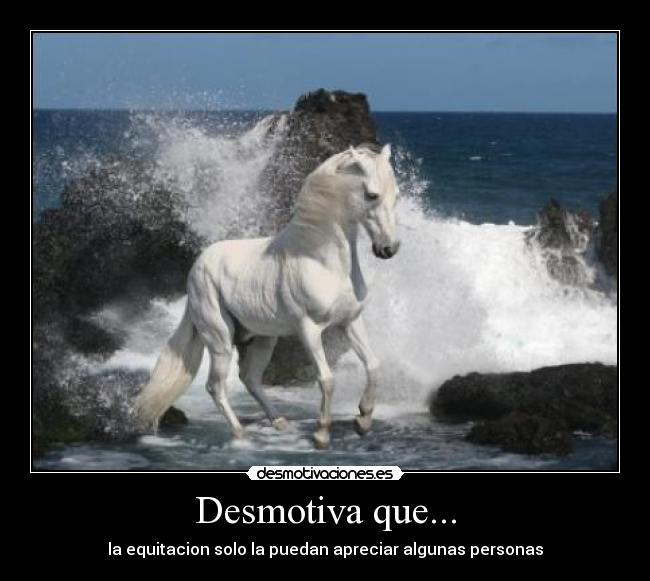 carteles anitalokillaful desmotivaciones