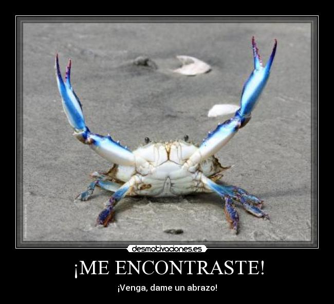 ¡ME ENCONTRASTE! - 