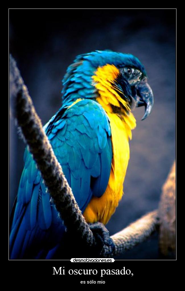Mi oscuro pasado, -