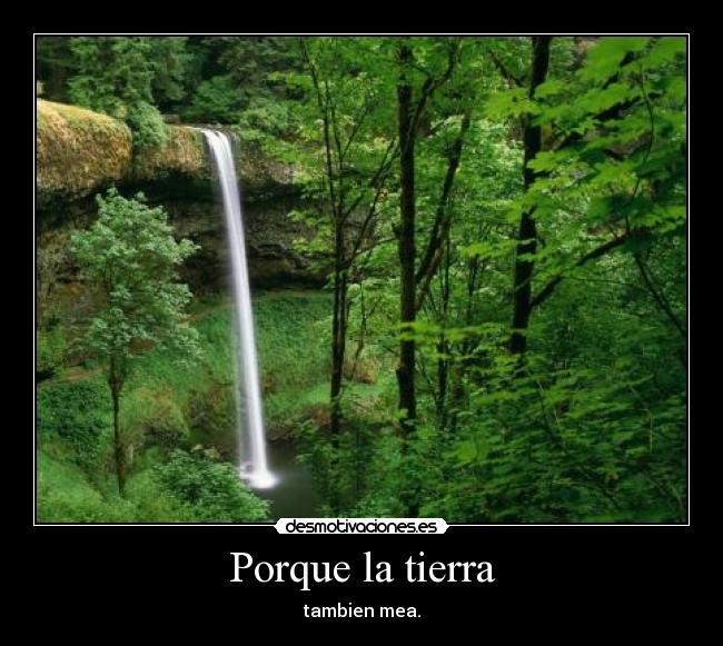 Porque la tierra - tambien mea.