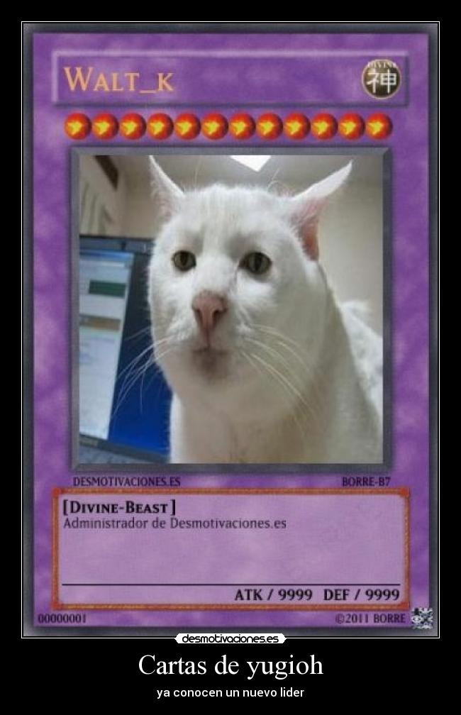 carteles borre desmotivaciones