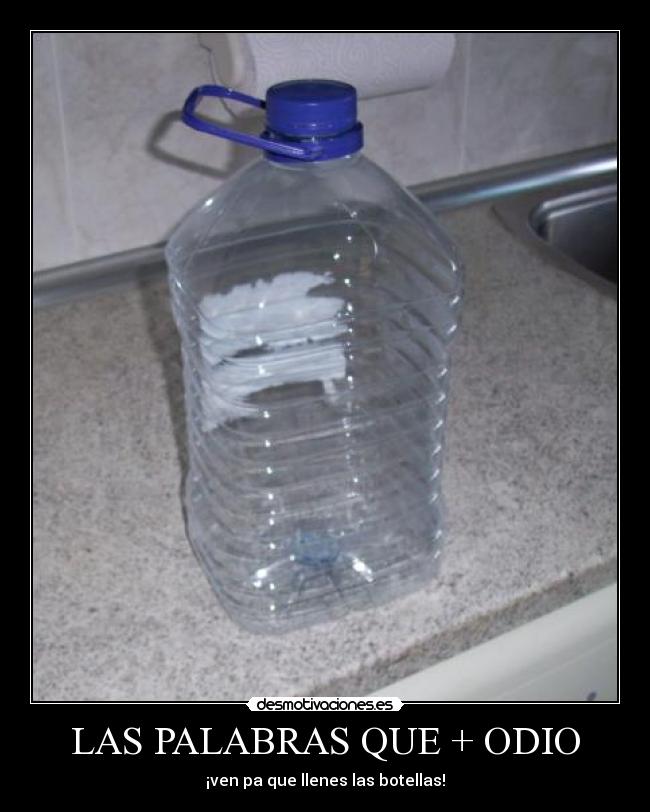LAS PALABRAS QUE + ODIO - 
