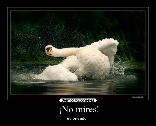 ¡No mires! - 
