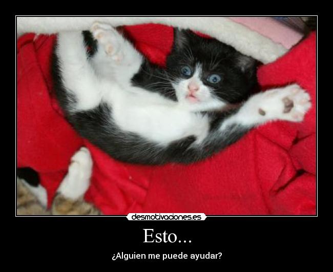 Esto... - ¿Alguien me puede ayudar?