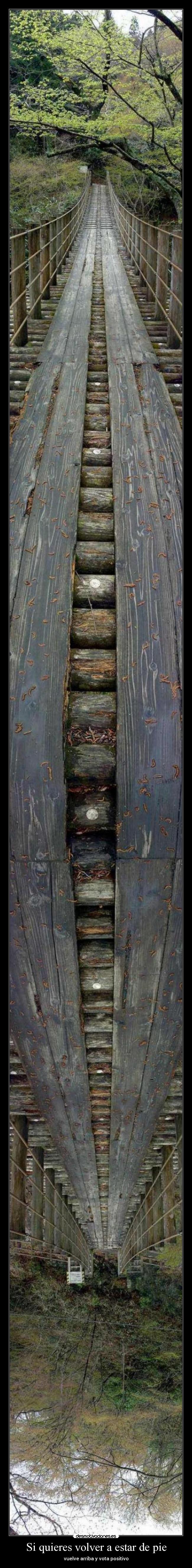 Si quieres volver a estar de pie - 