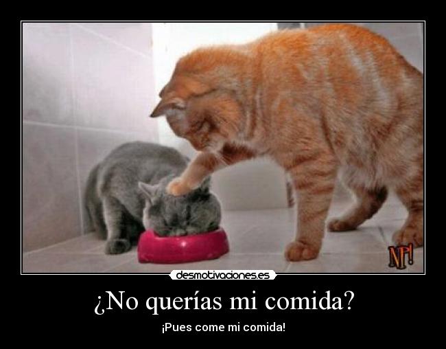 ¿No querías mi comida? - ¡Pues come mi comida!