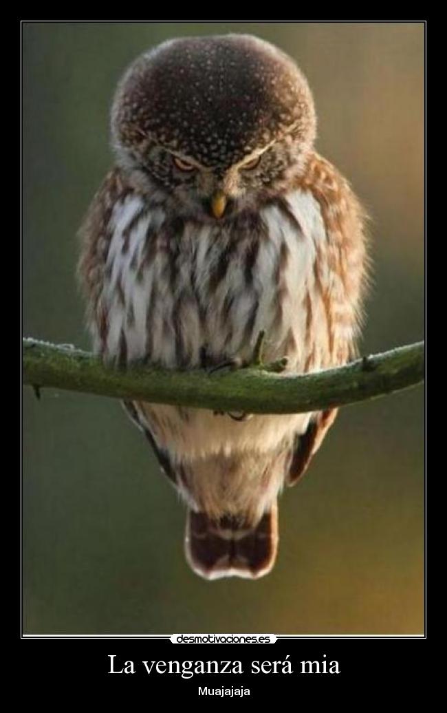 La venganza será mia - 
