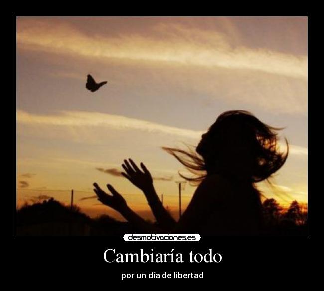 Cambiaría todo - por un día de libertad