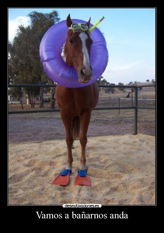 Vamos a bañarnos anda -   