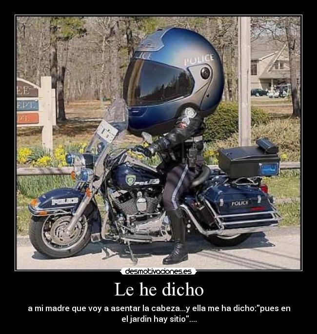 Le he dicho - a mi madre que voy a asentar la cabeza...y ella me ha dicho:pues en
el jardin hay sitio....
