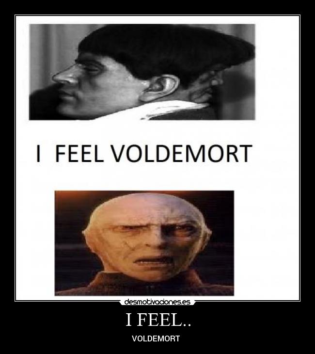 I FEEL.. - VOLDEMORT