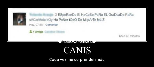CANIS - Cada vez me sorprenden más.