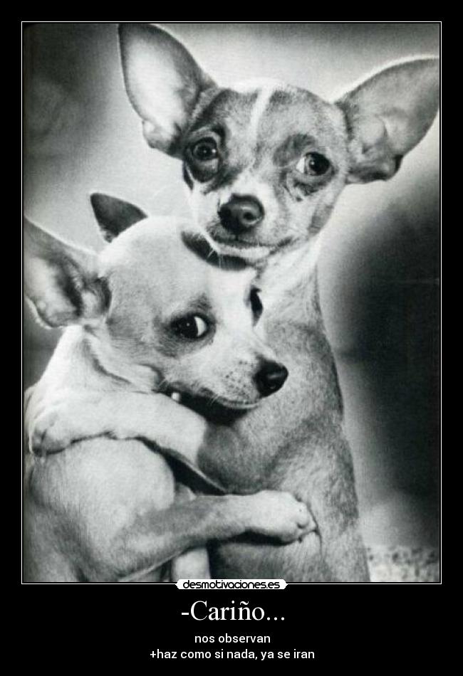 carteles ninguna desmotivaciones