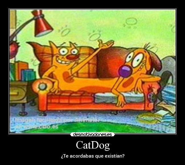 CatDog - 