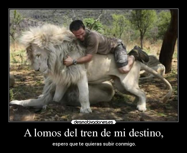 A lomos del tren de mi destino, -