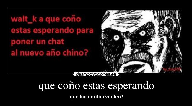 que coño estas esperando - que los cerdos vuelen?