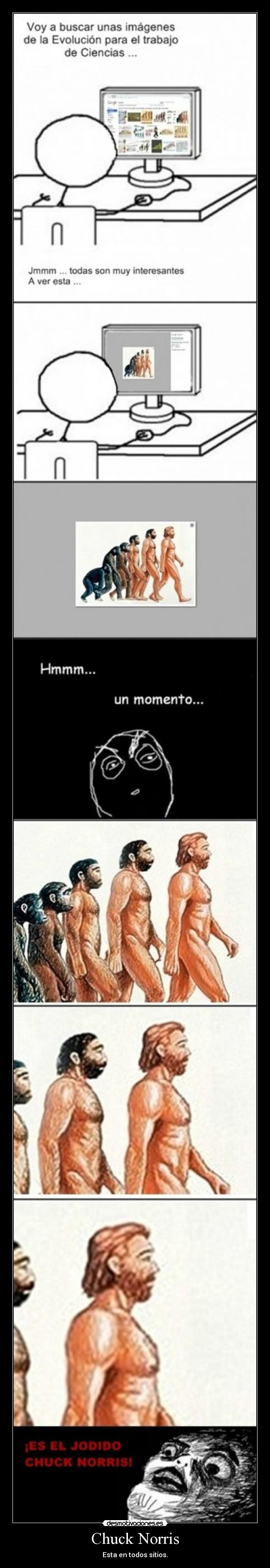 Chuck Norris - Esta en todos sitios.