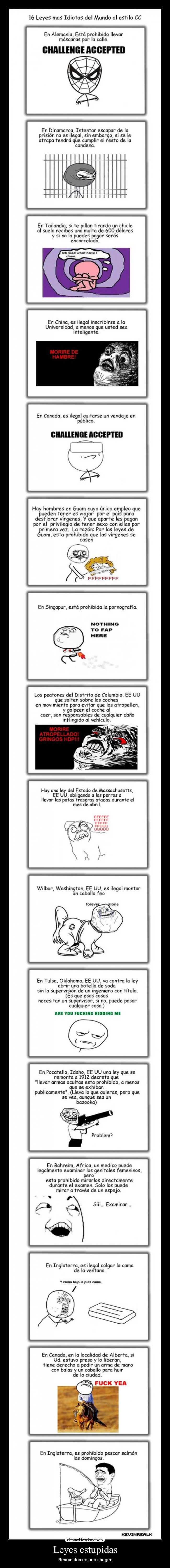 Leyes estupidas - Resumidas en una imagen