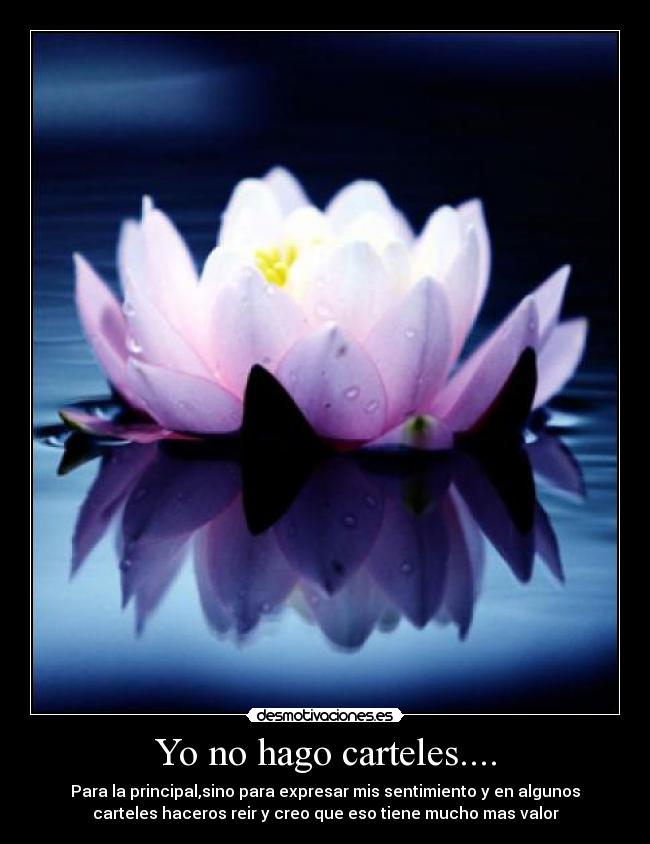 Yo no hago carteles.... -