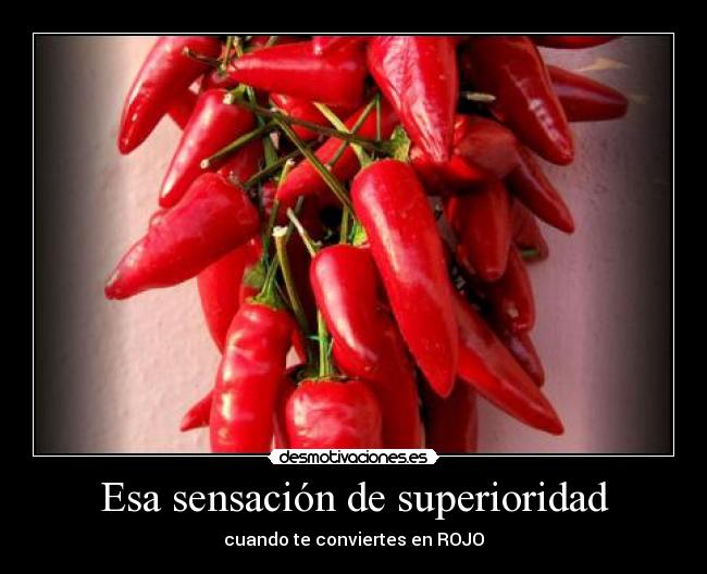 Esa sensación de superioridad - 