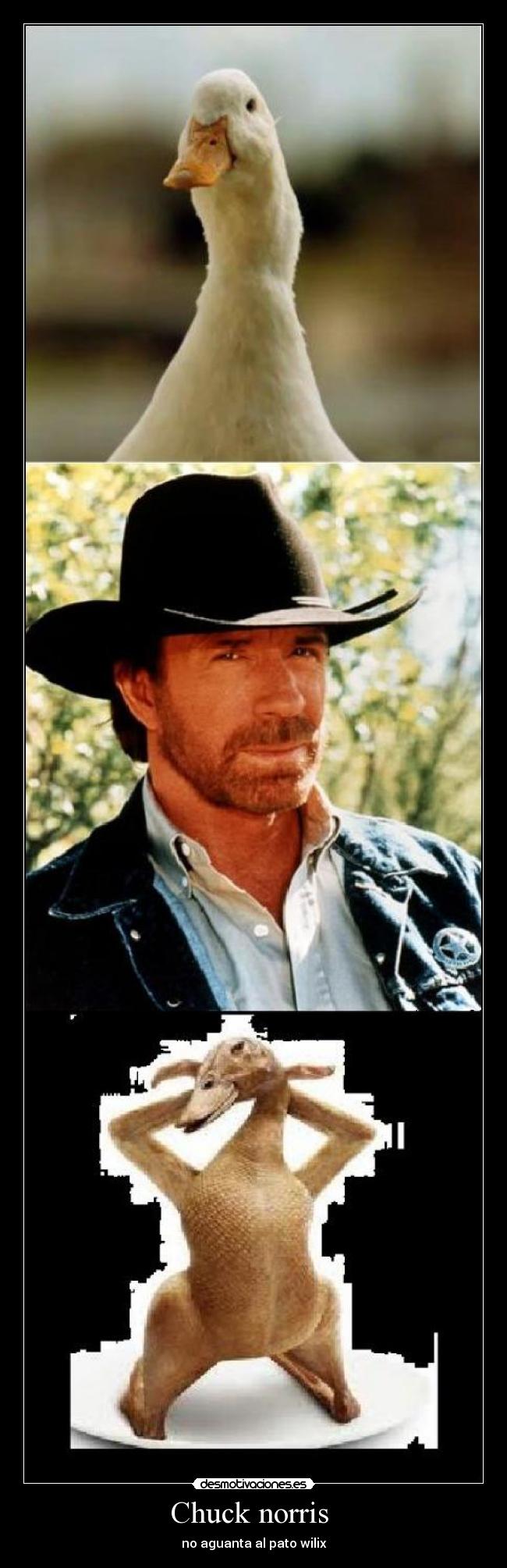 Chuck norris  - 