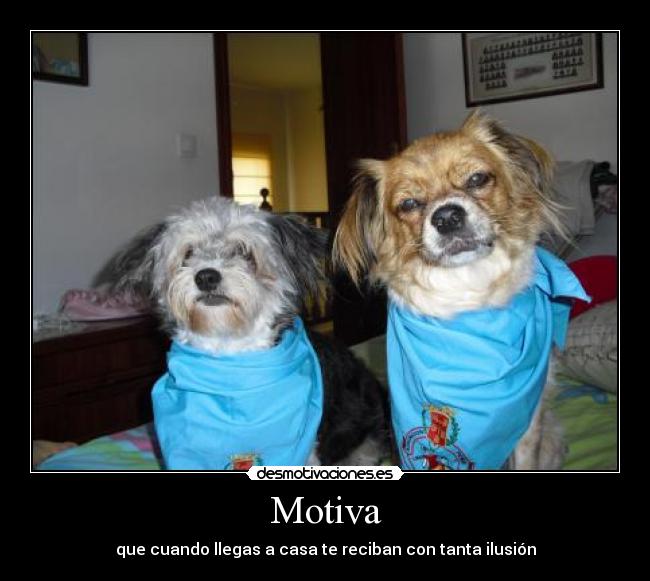 Motiva - que cuando llegas a casa te reciban con tanta ilusión