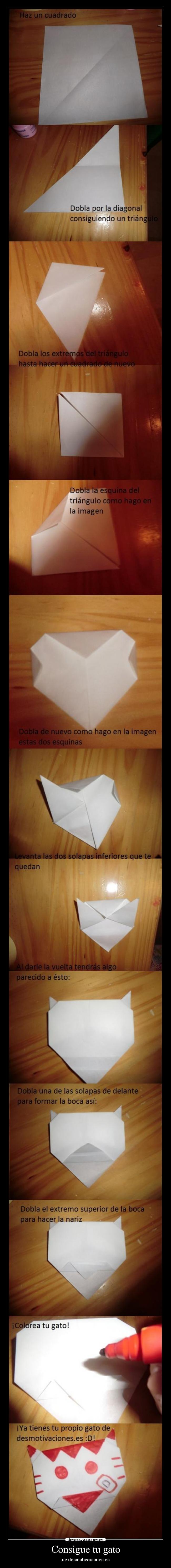 Consigue tu gato - de desmotivaciones.es