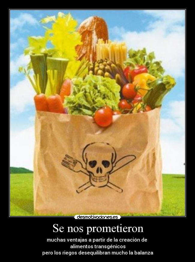 carteles crazyfurbi alimentos transgenicos balanza riesgos desmotivaciones