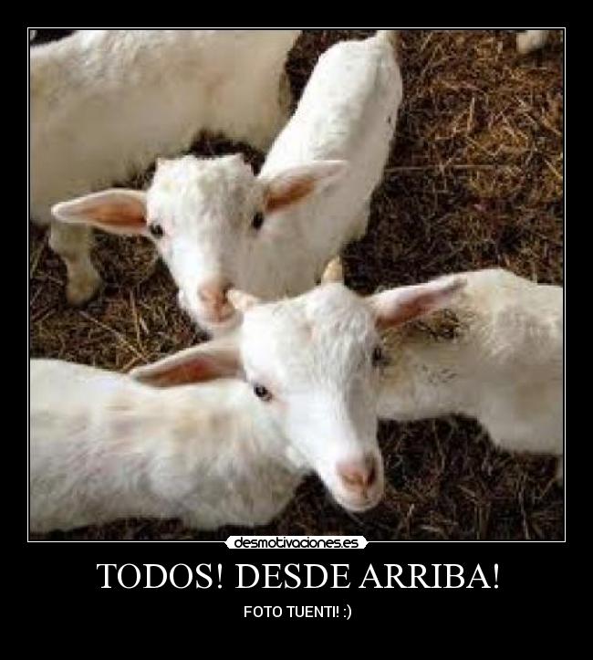 TODOS! DESDE ARRIBA! -