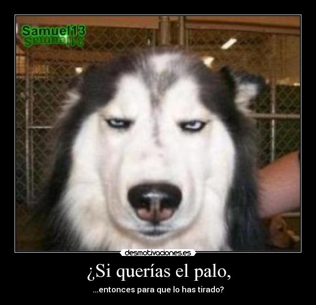 ¿Si querías el palo, - 